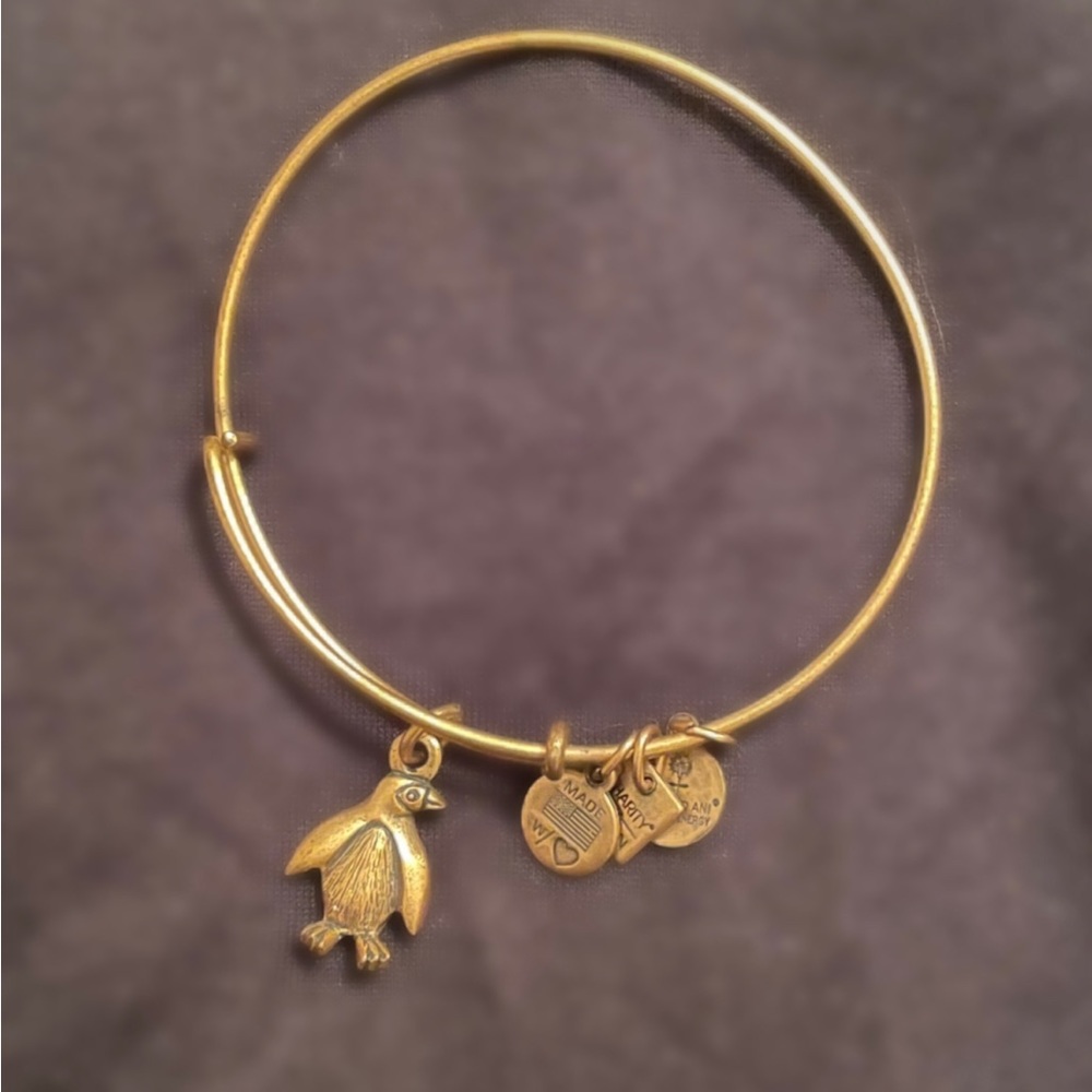 Alex and ani penguin bracelet